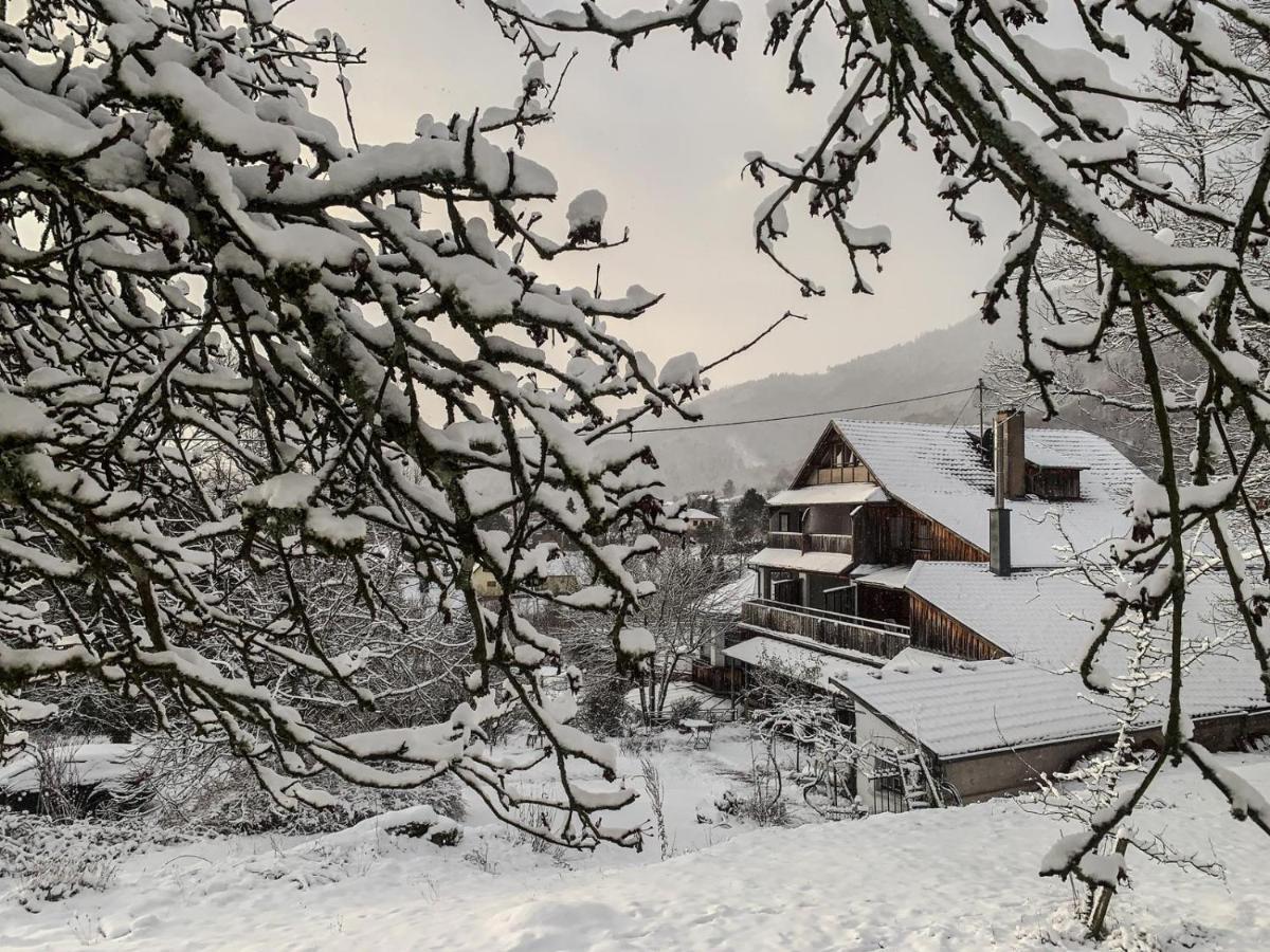 Le Manoir des Sens - Forêt de Bergheim Extérieur photo