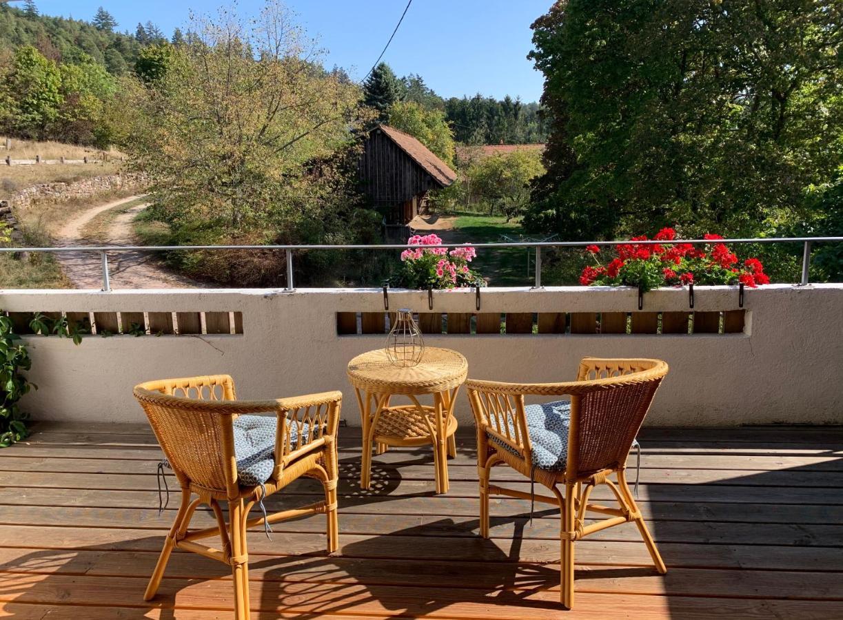 Le Manoir des Sens - Forêt de Bergheim Extérieur photo