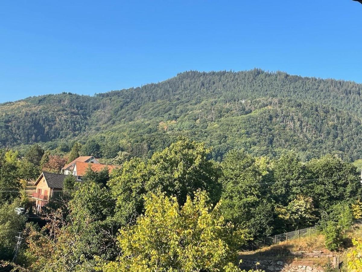 Le Manoir des Sens - Forêt de Bergheim Extérieur photo