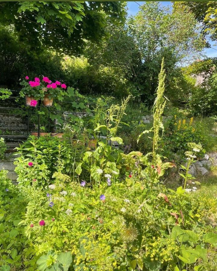 Le Manoir des Sens - Forêt de Bergheim Extérieur photo