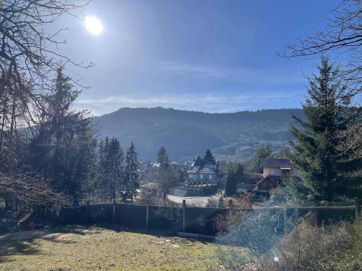 Le Manoir des Sens - Forêt de Bergheim Extérieur photo