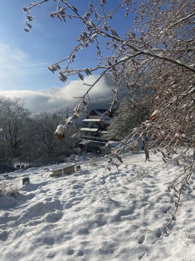 Le Manoir des Sens - Forêt de Bergheim Extérieur photo