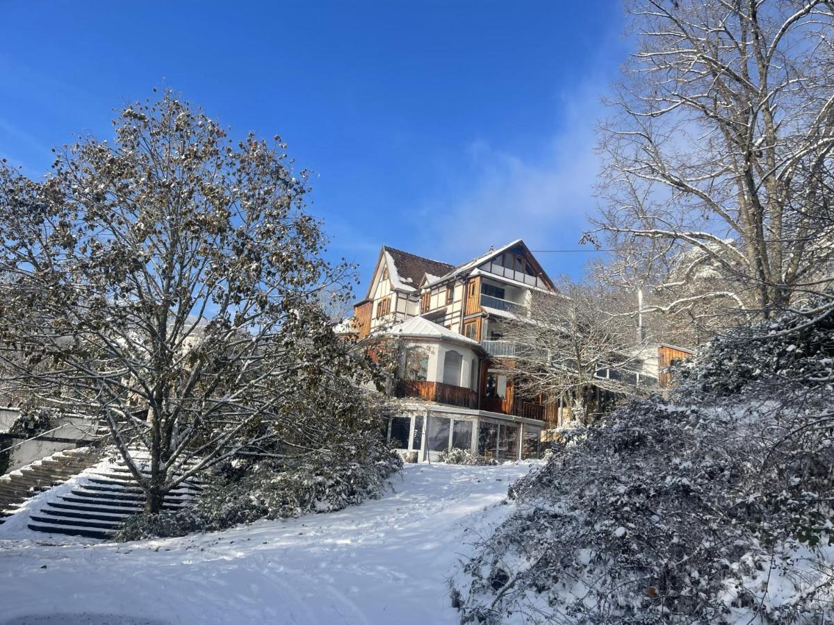 Le Manoir des Sens - Forêt de Bergheim Extérieur photo