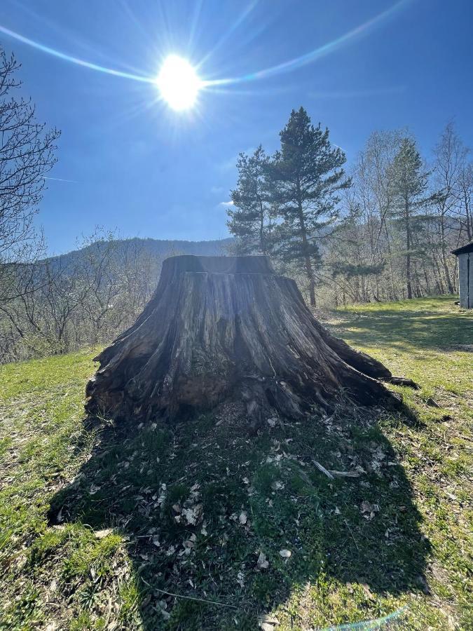 Le Manoir des Sens - Forêt de Bergheim Extérieur photo